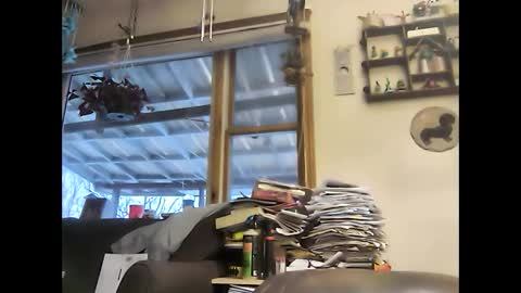 Snapshot of bigelectricrod chatting on January 5, 2025, 12:31 pm bigelectricrod online show from January 5, 2025, 12:31 pm