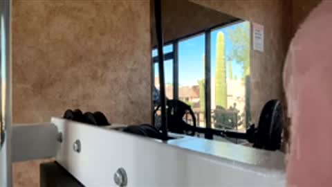 Gavin online show from November 29, 2025, 8:12 pm