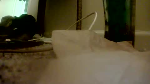 Snapshot of bigguypete1999 chatting on November 16, 2025, 1:55 am Peter Paul online show from November 16, 2025, 1:55 am