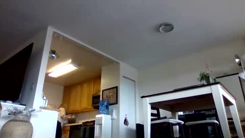 bigjoed233 online show from January 10, 2026, 3:47 pm