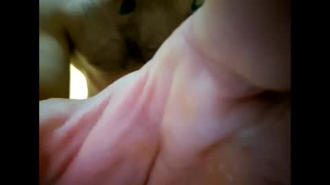 bigjoeyblow online show from November 1, 2025, 6:37 am