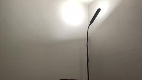 Snapshot of bigmcr1 chatting on January 26, 2025, 1:20 am Nick Barker online show from January 26, 2025, 1:20 am