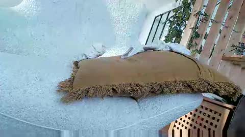 Snapshot of bigo290 chatting on October 5, 2025, 2:04 pm bigo290 online show from October 5, 2025, 2:04 pm