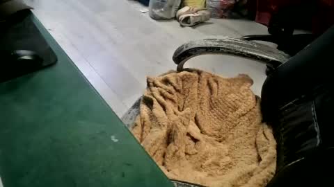 bigpeepdude online show from June 14, 2026, 4:42 pm