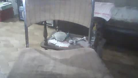 bigpenix online show from December 21, 2024, 3:25 am