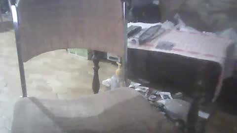 bigpenix online show from March 2, 2025, 3:56 am