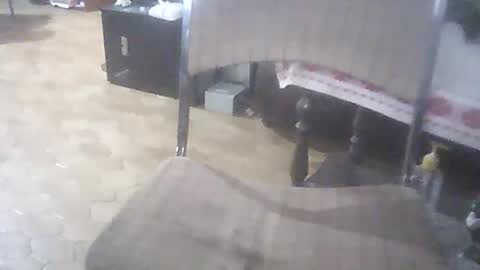 bigpenix online show from April 1, 2026, 1:39 am