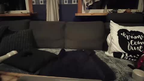 bigswe1 online show from December 16, 2024, 4:23 am