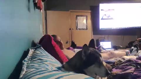 bigtomcat45 online show from December 24, 2024, 6:17 pm