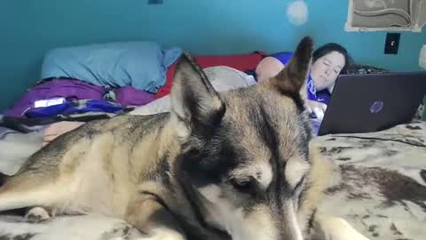 bigtomcat45 online show from December 26, 2024, 10:52 pm