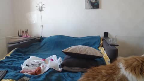 BigTwinsOmg online show from March 11, 2026, 7:36 am