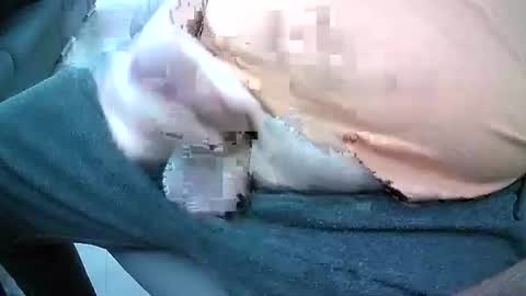 Snapshot of bikeman17 chatting on October 4, 2025, 8:45 am bikeman17 online show from October 4, 2025, 8:45 am