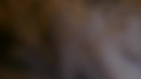 Snapshot of billyhuey12 chatting on December 4, 2024, 6:55 am NUMROUNO MACK online show from December 4, 2024, 6:55 am