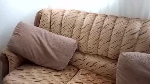 Bill online show from February 19, 2025, 1:06 pm