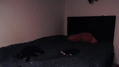 black_firex online show from October 8, 2025, 9:34 pm