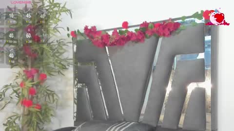 B L A C K  R O S E  online show from February 27, 2025, 11:31 am