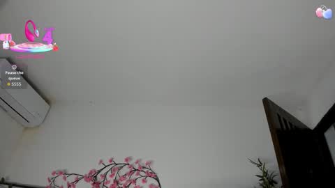 B L A C K  R O S E  online show from September 25, 2025, 11:36 am