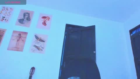 Snapshot of black_skull22 chatting on January 18, 2026, 1:20 am Bryan online show from January 18, 2026, 1:20 am