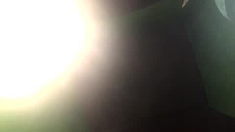 Snapshot of blackasiancockts chatting on December 27, 2024, 1:50 pm Crystal online show from December 27, 2024, 1:50 pm