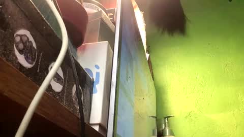 Crystal online show from November 13, 2025, 2:49 pm