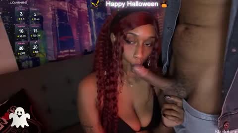 Black Bunny online show from November 1, 2025, 12:01 am