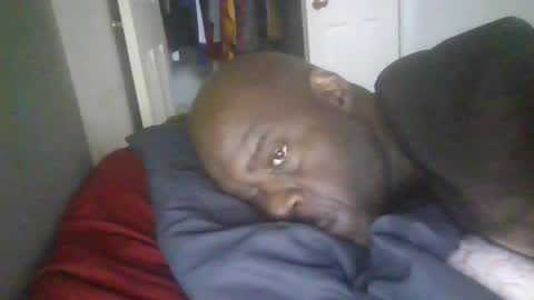 Snapshot of blackteddybear chatting on January 19, 2026, 3:05 pm blackteddybear online show from January 19, 2026, 3:05 pm