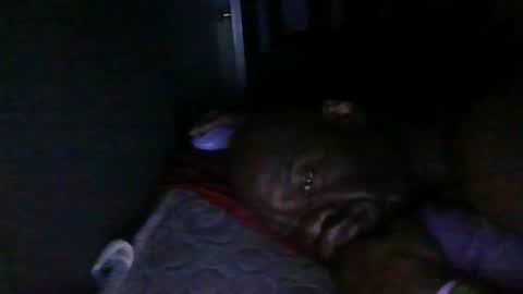 Snapshot of blackteddybear chatting on February 18, 2026, 3:24 am blackteddybear online show from February 18, 2026, 3:24 am