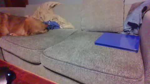 Snapshot of blaw_1321 chatting on April 19, 2026, 10:45 pm blaw_1321 online show from April 19, 2026, 10:45 pm