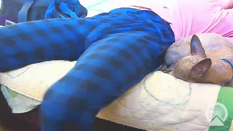 First Time College Boy online show from February 13, 2025, 10:00 pm