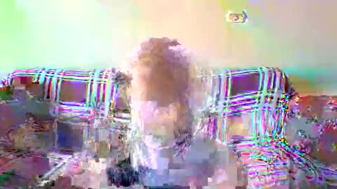 Snapshot of blondiepam23 chatting on December 20, 2025, 10:55 am BlondiePam online show from December 20, 2025, 10:55 am