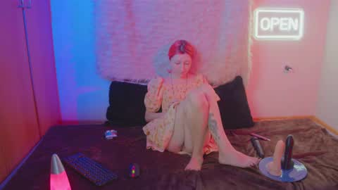 Bloom online show from February 4, 2026, 3:40 pm