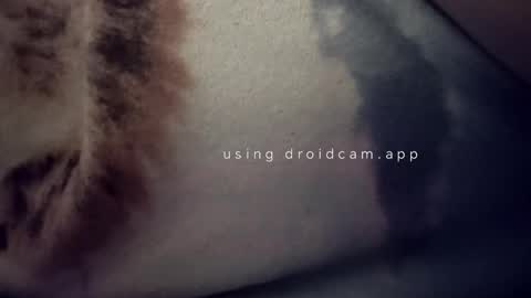 bluealpakka online show from March 15, 2026, 4:40 am