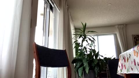 Blueyedudeseattle online show from September 21, 2025, 6:42 pm