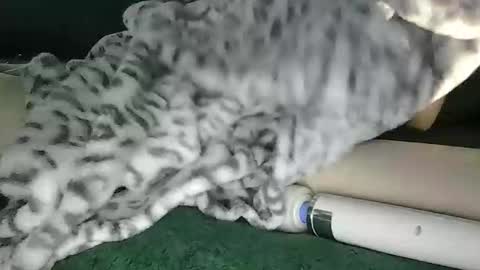 lyss online show from October 28, 2025, 9:39 pm