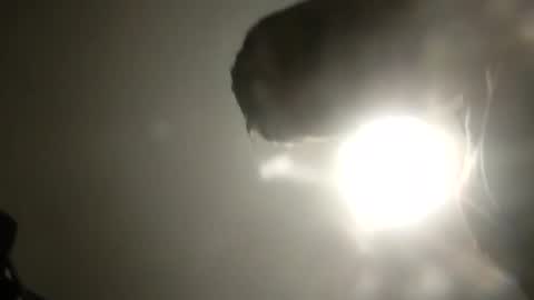 Snapshot of bobby160968 chatting on February 24, 2025, 6:26 pm bobby160968 online show from February 24, 2025, 6:26 pm