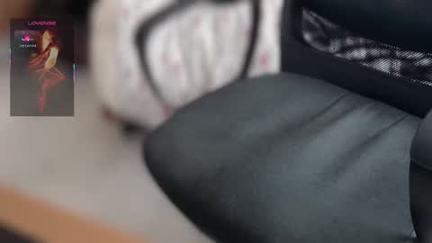 Bobby online show from March 19, 2026, 10:41 am