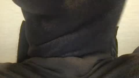 boblight221 online show from January 9, 2025, 9:58 pm