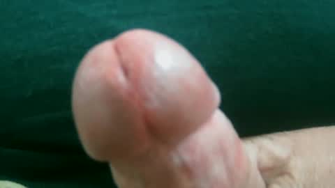 bobrossisalive online show from February 16, 2026, 7:54 pm