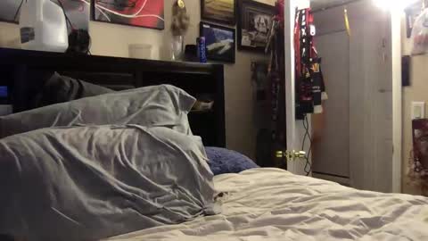 Bobby520 online show from January 8, 2025, 5:37 am