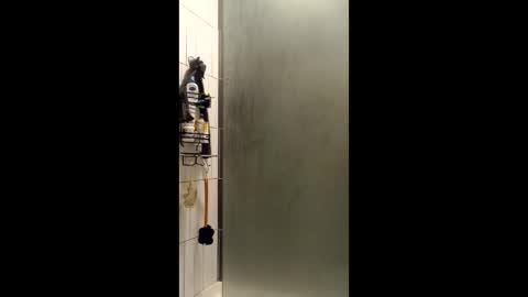 Sailorartemis online show from December 15, 2025, 9:57 am