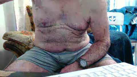 bolbil1 online show from February 1, 2026, 6:28 pm