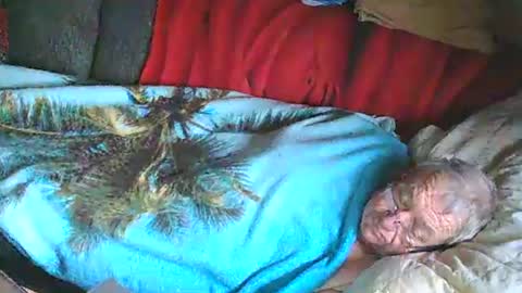 Bomber59potsdam online show from January 25, 2025, 11:02 am