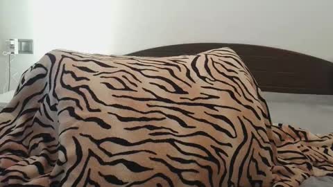 Snapshot of bonbonsitos_69 chatting on March 7, 2026, 12:13 pm Lucy online show from March 7, 2026, 12:13 pm