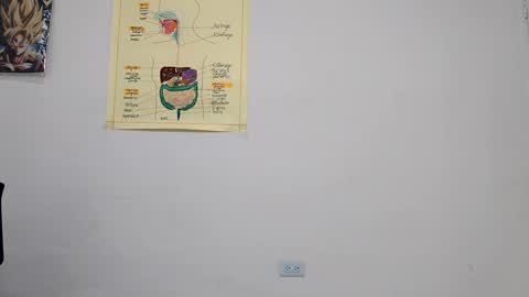 Boner Steve online show from September 14, 2025, 3:49 am