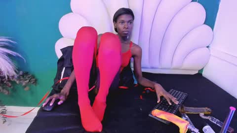 bonieklent online show from January 28, 2025, 3:36 am