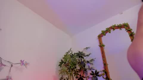   online show from February 3, 2026, 2:53 am