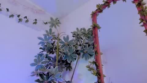   online show from March 19, 2026, 12:25 am