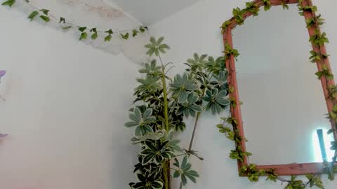   online show from March 19, 2026, 11:53 pm