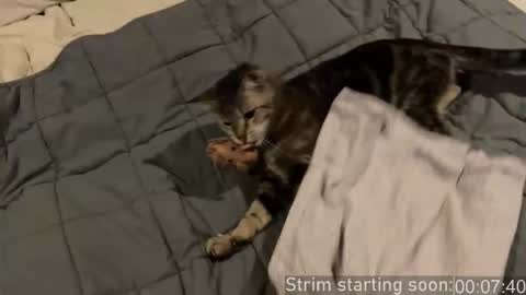 Booker Baxton online show from January 10, 2026, 4:03 am