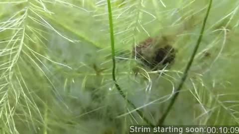 Booker Baxton online show from April 17, 2026, 2:58 am